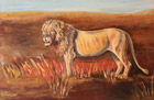 Lev na Masai Mara