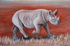 Mladý nosorožec černý AKRYL na kartonu
