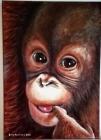 Orangutan AKRYL na plátně